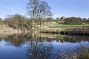 Hardwick Hall 17 sm.jpg